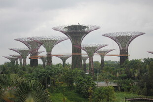 新加坡超级树景观