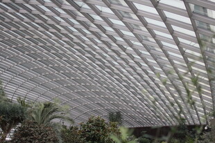 室内拱形透光植物景观