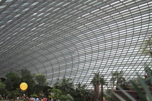 新加坡室内植物园穹顶景观