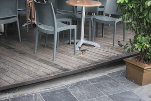 户外休闲桌椅绿植组合