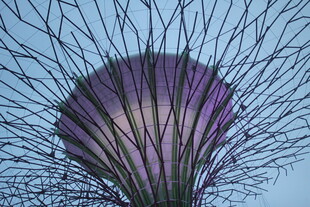 新加坡超级树景观