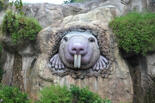 岩石上的海象雕塑