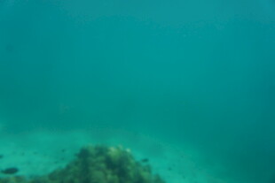 海底景观 神秘礁石