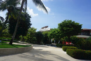 热带庭院景观 绿意盎然