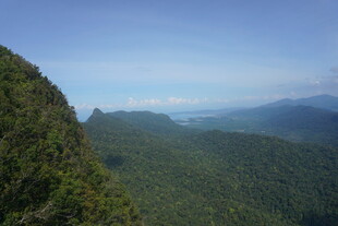 山巅远眺绿意盎然的景致