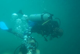 水下潜水员的精彩瞬间