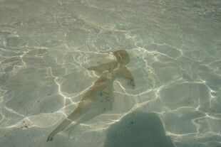 水中漂浮的曼妙身姿