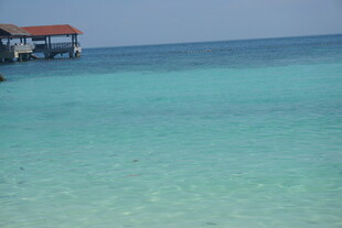 清澈海边码头的美丽景致