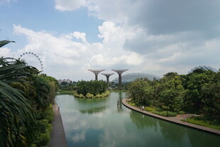 新加坡滨海湾花园景观