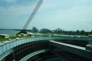 现代建筑旁的开阔城市景观