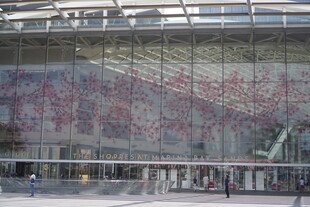 现代建筑玻璃幕墙外观