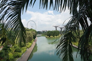 新加坡滨海湾花园景观