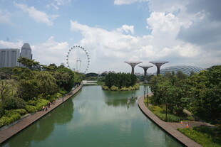 河畔风景与远处摩天轮