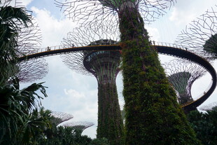 新加坡滨海湾超级树景观