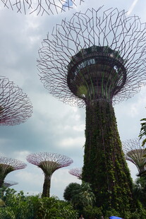 新加坡超级树景观奇观