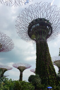 新加坡滨海湾超级树景观