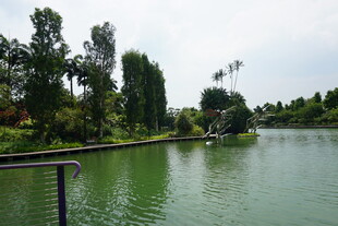 湖畔绿树环绕的宁静风光