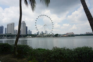 湖畔摩天轮与城市天际线