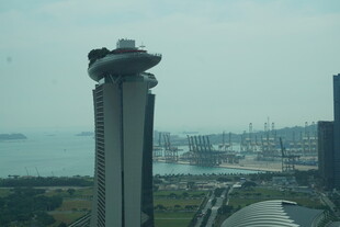 新加坡摩天观景轮景观