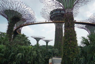 新加坡滨海湾花园景观