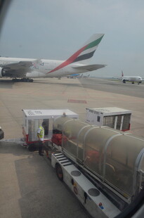 机场地面飞机装卸场景