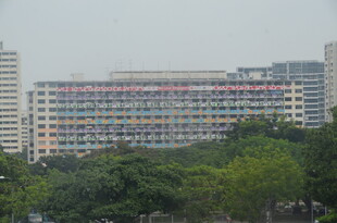 多彩建筑隐于绿树间