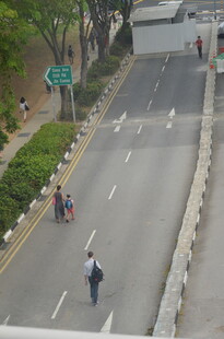 道路上的行人与交通场景