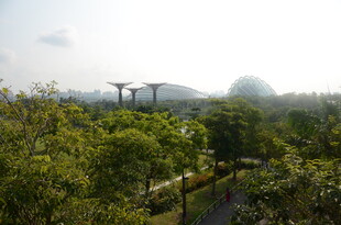 新加坡滨海湾花园景观