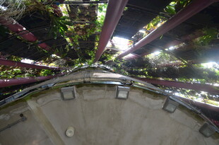 室内垂直农业种植景观