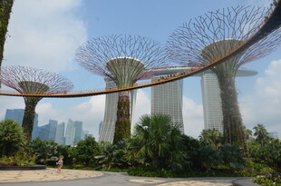 新加坡滨海湾超级树景观