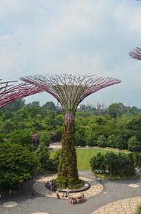 新加坡滨海湾超级树景观