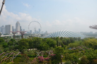 新加坡城市景观与绿植