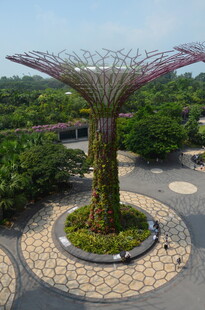 新加坡擎天树景观