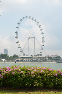 湖畔摩天轮与烂漫花丛