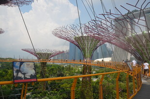 新加坡滨海湾花园景观