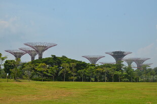 新加坡滨海湾超级树景观