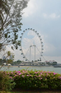湖畔摩天轮与繁花美景
