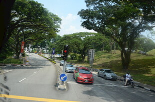 城市道路上的车辆与人