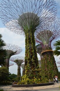 新加坡滨海湾超级树景观