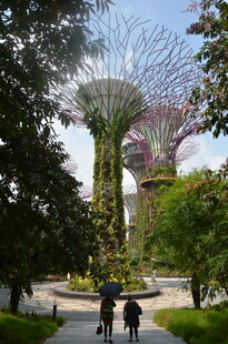 新加坡滨海湾花园景观