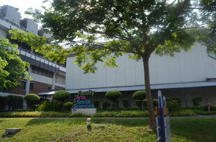 校园绿树环绕的建筑景观