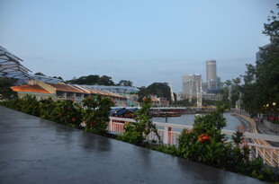 雨后城市景观中的花卉绿植