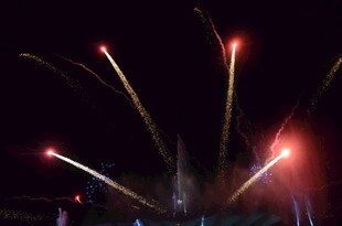 夜空中绚烂的烟花绽放