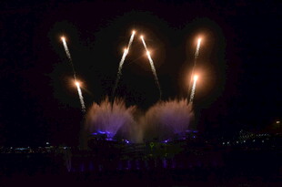 夜空中绚烂的烟花绽放