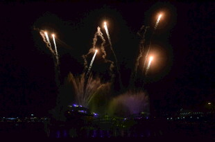 夜空中绚烂的烟花绽放