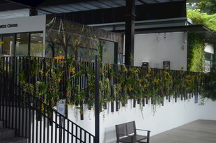 户外绿植装点的休憩空间