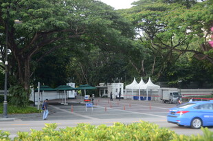 公园旁的休闲场景