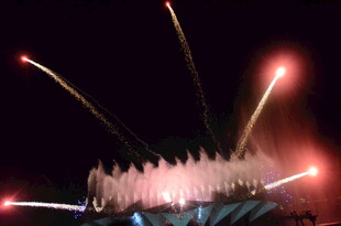 夜空中绚烂绽放的烟花