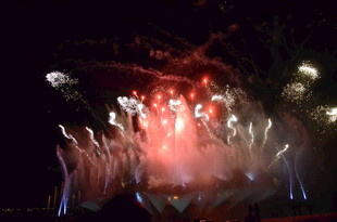 绚丽烟花绽放夜空