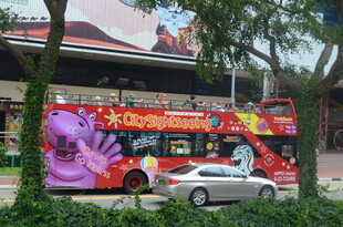 城市街头的双层观光巴士